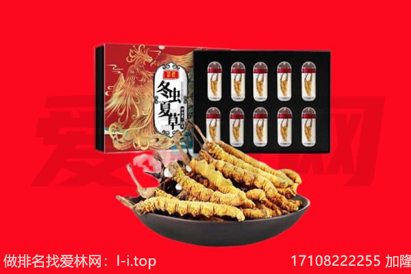 武汉市汉南回收虫草.jpg